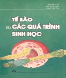 Các quá trình sinh học Tế bào: Phần 1