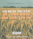 Cơ sở lý thuyết di truyền và kỹ thuật gây tạo, sản xuất lúa lai: Phần 2