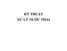 Bài giảng Kỹ thuật xử lý nước thải