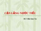 Bài giảng Cặn lắng nước tiểu - BS. Trần Kim Cúc