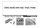 Bài giảng Công nghệ sinh học thực phẩm: Chương 1 - ThS. Phạm Hồng Hiếu