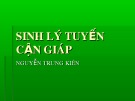 Bài giảng Sinh lý tuyến cận giáp - Nguyễn Trung Kiên