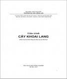 Giáo trình Cây khoai lang: Phần 2