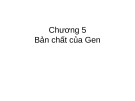 Bài giảng Chương 5: Bản chất của gen