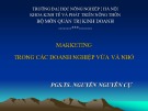 Bài giảng Marketing trong các doanh nghiệp vừa và nhỏ - PGS.TS. Nguyễn Nguyên Cự