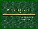 Bài giảng Giải phẫu siêu âm và CT gan - ThS. BS. Bùi Hoàng Tú