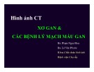 Bài giảng Hình ảnh CT Xơ gan và bệnh lý mạch máu gan - BS. Phham Ngọc Hoa, BS. Lê Văn Phước