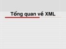 Bài giảng Tổng quan về XML