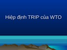 Bài giảng Hiệp định TRIP của WTO