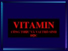 Bài giảng Vitamin - Công thức và vai trò sinh học