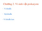 Bài giảng Vi sinh vật học đại cương: Chương 2 - ThS. Trịnh Ngọc Nam