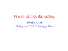 Bài giảng Vi sinh vật học đại cương: Chương 1 - ThS. Trịnh Ngọc Nam