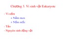 Bài giảng Vi sinh vật học đại cương: Chương 3 - ThS. Trịnh Ngọc Nam