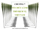 Bài giảng Địa lý kinh tế: Chương 7 - Hoàng Thu Hương