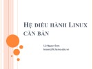 Bài giảng Hệ điều hành Linux căn bản: Chương 7 - Lê Ngọc Sơn