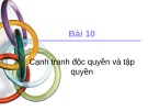 Bài giảng Bài 10: Cạnh tranh độc quyền và tập quyền - TS. Trần Văn Hòa