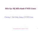 Bài giảng Hệ điều hành UNIX-Linux: Chương 1 - Nguyễn Trí Thành