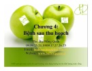 Bài giảng Công nghệ sau thu hoạch: Chương 4 - ThS. Bùi Hồng Quân
