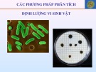 Bài giảng Vi sinh thực phẩm: Chương 6 - Nguyễn Minh Hiền