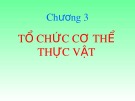 Bài giảng Sinh học đại cương: Chương 3 - Nguyễn Thị Diệu Hạnh