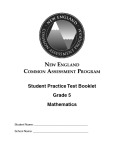 Student practice test booklet grade 5: Mathematics