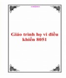 Giáo trình Họ vi điều khiển 8051: Phần 2