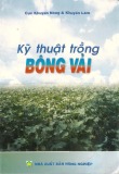 Kinh nghiệm trồng bông vải