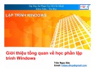 Bài giảng Lập trình Windows: Bài 1 - Trần Ngọc Bảo