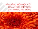 Bài giảng môn học Cơ sở văn hóa Việt Nam