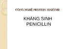 Bài giảng Công nghệ Protein - Enzyme: Kháng sinh Penicillin