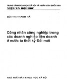 Các doanh nghiệp liên doanh ở nước ta thời kỳ đổi mới - Công nhân công nghiệp: Phần 1