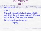 Bài giảng Ngôn ngữ lập trình C - Chương 9: File