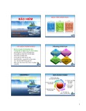 Bài giảng Bảo hiểm: Chương 1 - Nguyễn Thị Minh Châu