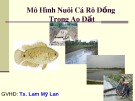 Bài thuyết trình: Mô hình nuôi cá rô đồng trong ao đất