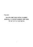 Tổng luận: Nguồn phế thải nông nghiệp rơm rạ và kinh nghiệm thế giới về xử lý và tận dụng