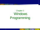 Lecture Windows programming: Chapter 3(1) - Châu Thị Bảo Hà