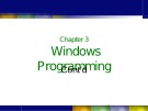 Lecture Windows programming: Chapter 3(3) - Châu Thị Bảo Hà