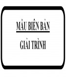 Mẫu biên bản giải trình