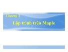 Bài giảng Maple - Lập trình tính toán: Chương 2 - Lập trình trên maple