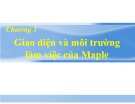 Bài giảng Maple - Lập trình tính toán: Chương 1 - Giao diện và môi trường làm việc của maple