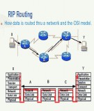 Tài liệu hướng dẫn thực hành CCNA: Bài 13 - Rip (Routing Information Protocol)