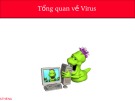 Bài giảng Tổng quan về Virus