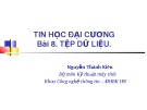 Bài giảng Tin học đại cương Phần 2: Bài 8 - Nguyễn Thành Kiên