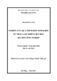 Tóm tắt Luận văn Thạc sĩ Kỹ thuật: Nghiên cứu quá trình đốt sinh khối từ trấu làm nhiên liệu đốt quy mô công nghiệp