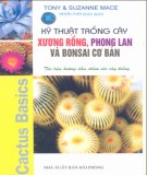 Hướng dẫn trồng cây xương rồng, phong lan và bonsai cơ bản: Phần 1