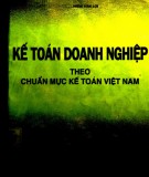 Thực hành Kế toán doanh nghiệp theo chuẩn mực kế toán Việt Nam: Phần 2