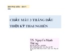 Bài giảng Chảy máu 3 tháng đầu thời kỳ thai nghén - TS. Nguyễn Mạnh Thắng