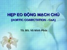 Bài giảng Hẹp eo động mạch chủ - TS.BS. Vũ Minh Phúc