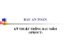 Bài giảng Rau an toàn: Kỹ thuật trồng rau mầm (Sprout)