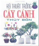 Hướng dẫn trồng cây cảnh thủy bồn: Phần 1